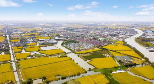 时堰房价 时堰房价