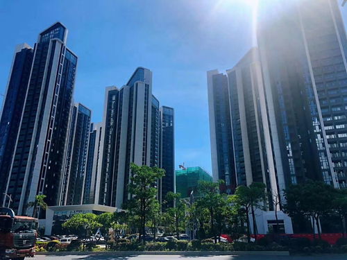 大亚湾西区最好的楼盘 大亚湾西区最好的楼盘