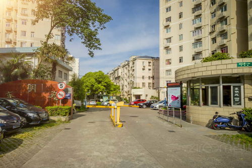 东明上海城房子价格 东明上海城房子价格