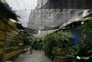 凯里金井小区 凯里金井小区