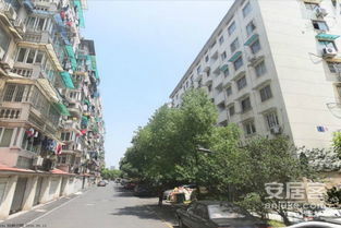 金城公寓 金城公寓