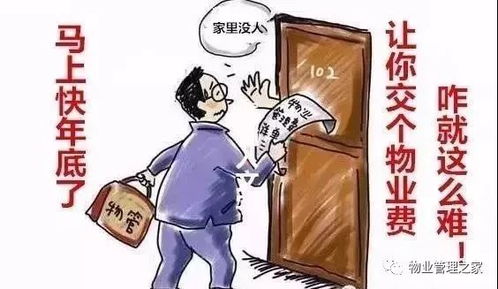 物业费交几年