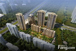 合肥新开盘房价 合肥新开盘房价
