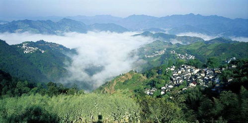 郏县林溪谷房子前景 郏县林溪谷房子前景