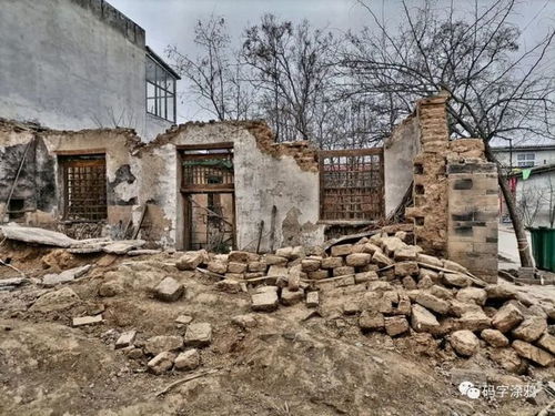 张村房子 张村房子