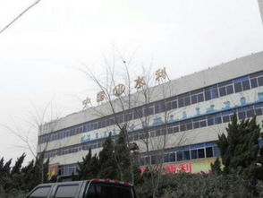 衡水状元府邸楼盘